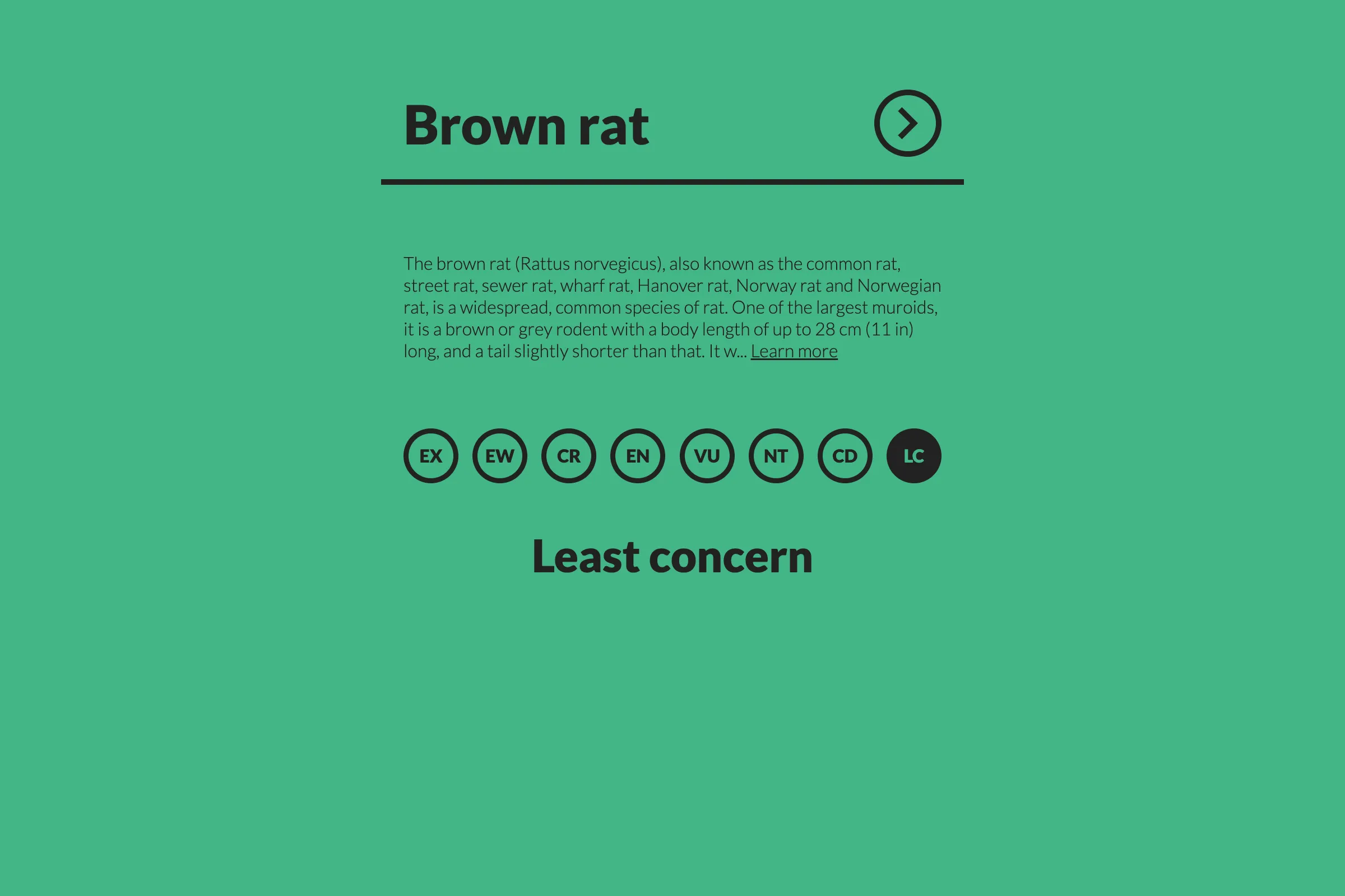 Result view with 'Least concern' status for 'Brown rat'.